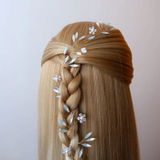 Elody review photo
