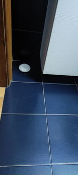 G.P. review photo