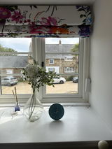 N.B. review photo