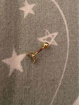 Delphine review photo