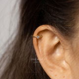 C review photo