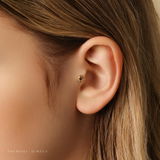 Taylor review photo
