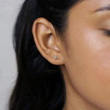 Amber review photo