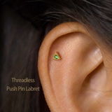 Shamrock review photo