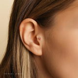 Shari review photo