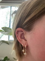 Dilly review photo