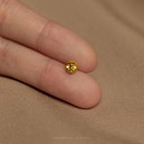 Lux Malum review photo