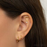 Teisha review photo
