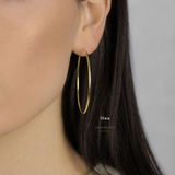 Ananya review photo