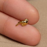 Elliot review photo