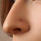 Erin review photo