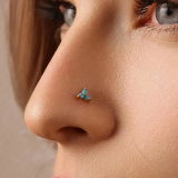 Pierina review photo