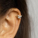 Clarissa review photo