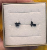 Erin review photo