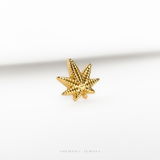 Tiffany review photo