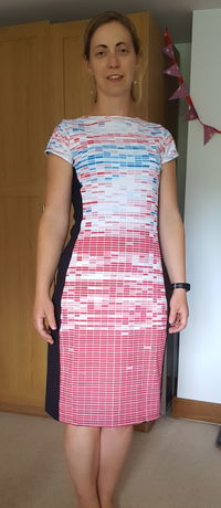 Climate Change Data Dress
