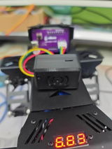 B.D. review photo