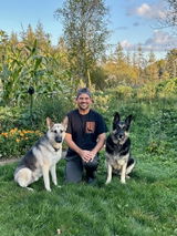 Pumpkin Patriot GSD  Tee