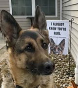 I Already Know You're Here GSD Garden Banner