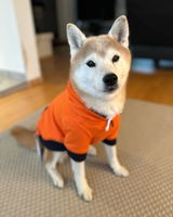 Satoko K. review photo