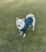 Yuki P. review photo