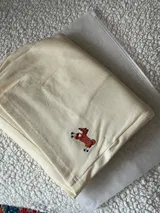 Calvin review photo