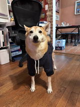 Erin review photo