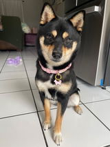 Penny review photo