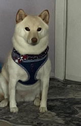 Lissette R. review photo