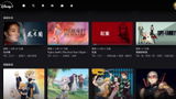 匿名 review photo