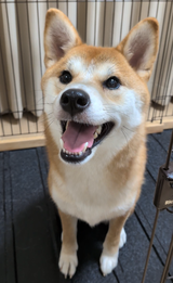 淳子 前田 review photo