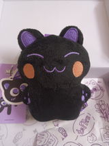 Ashi review photo