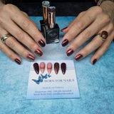 Born for Nails review photo