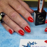 Born for Nails review photo