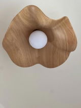 Kiwi review photo