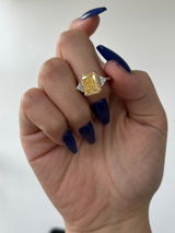Janki review photo