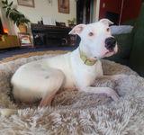 Maggy review photo