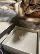 Izzy review photo