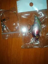 Linwood Lueilwitz review photo