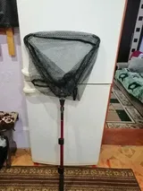 Dayne Kris review photo