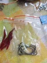 Norene Treutel review photo