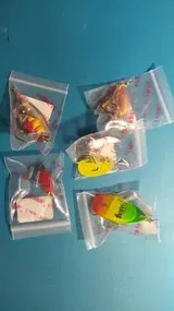 Rico Hagenes review photo