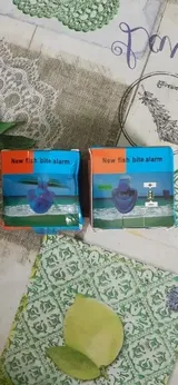 Evie Tromp review photo