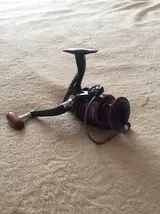 Myrtis Schmitt review photo