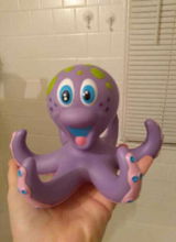 BrieRex review photo