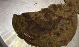 Umesh review photo