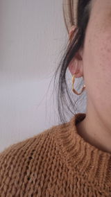 אור review photo