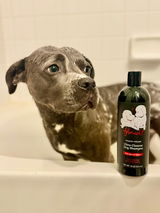Instagram @pibblehaus review photo