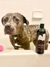 Instagram @pibblehaus review photo