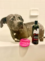 Instagram @pibblehaus review photo